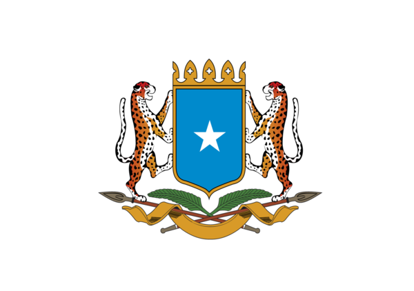 Somaliaflagge W, Nationalfahnen