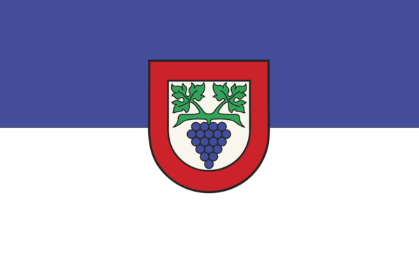 Büsingen Hochrhein Flagge Baden Württemberg