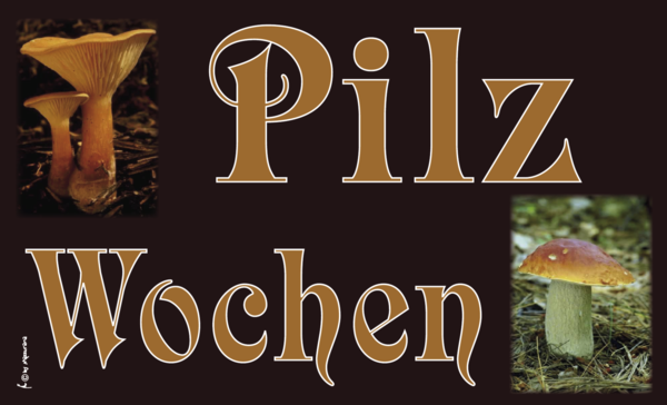 Pilz-Wochen-Flagge,Gastronomieflaggen,Hotel, Café, Restaurant, Bistro