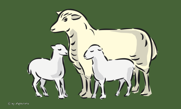 Schaf-Flagge,2,Schaf, Tierflaggen,Tierzüchter-Flaggen