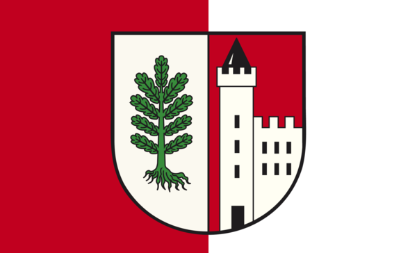 Breitenburg Flagge, Schleswig-Holsteinfahne